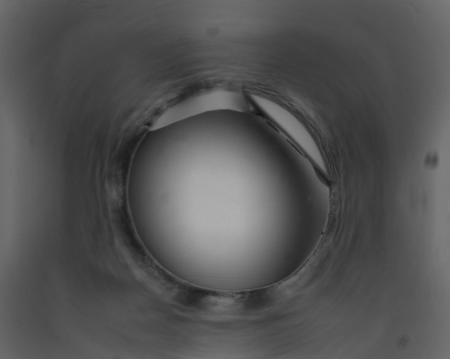 X0000092260170200710051326