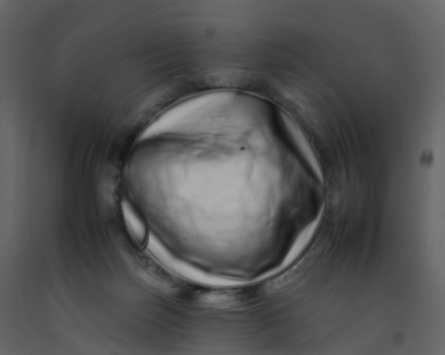 X0000092260171200710051326