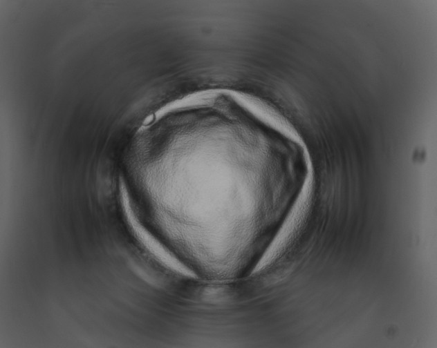 X0000092260173200710051326