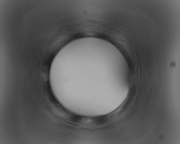 X0000092260174200710051326