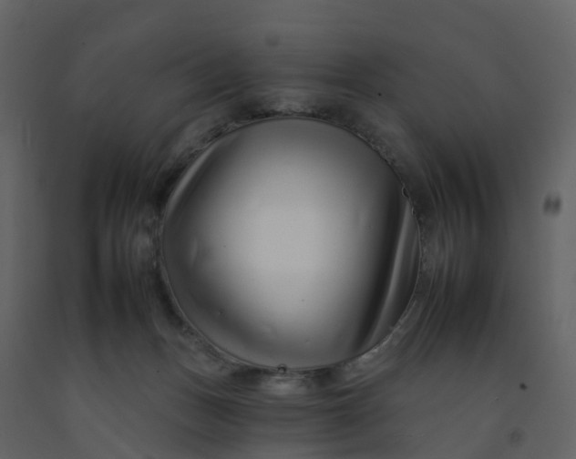 X0000092260175200710051326