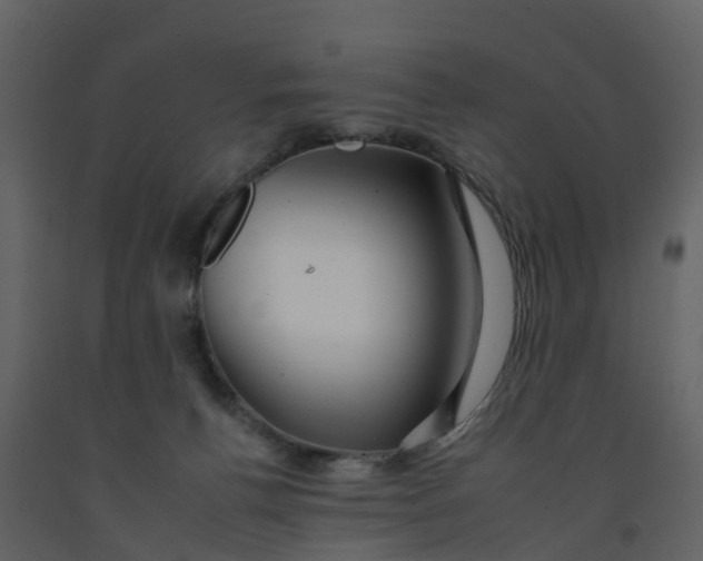 X0000092260176200710051326