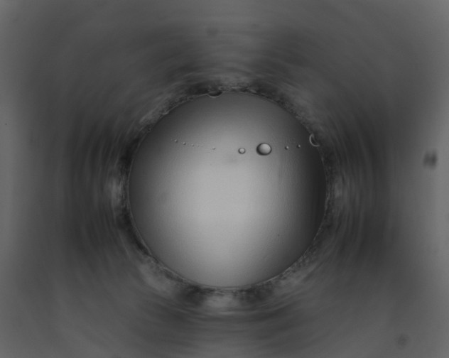 X0000092260177200710051326