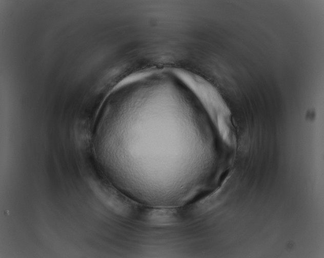 X0000092260179200710051326