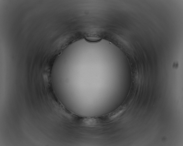 X0000092260181200710051326