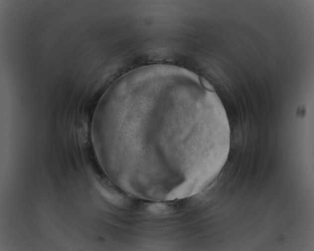 X0000092260183200710051326