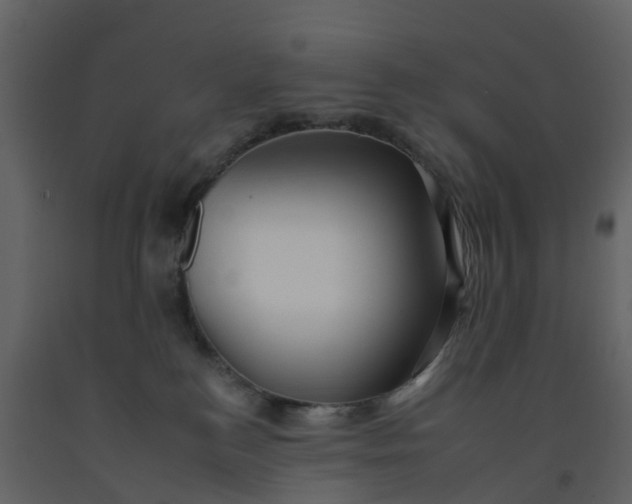 X0000092260184200710051326