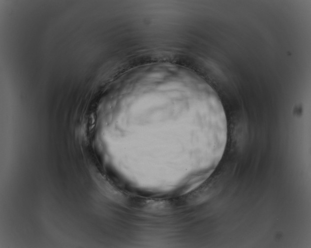 X0000092260185200710051326