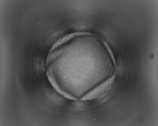 X0000092260187200710051326