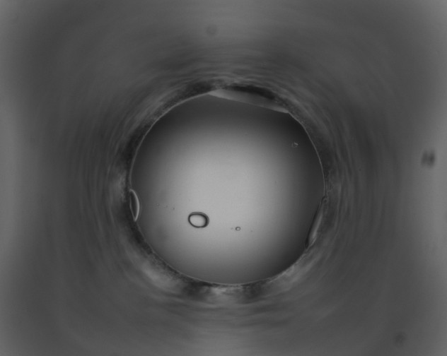 X0000092260188200710051326