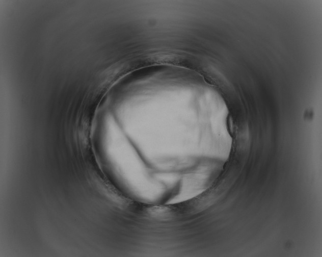 X0000092260189200710051326