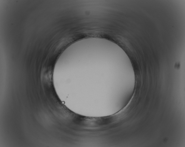 X0000092260190200710051326