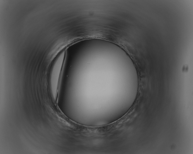 X0000092260194200710051326