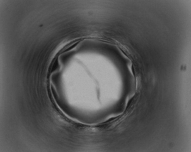 X0000092260195200710051326