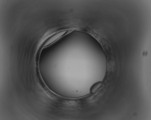 X0000092260198200710051326