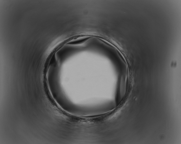 X0000092260199200710051326