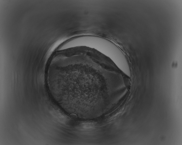 X0000092260200200710051326