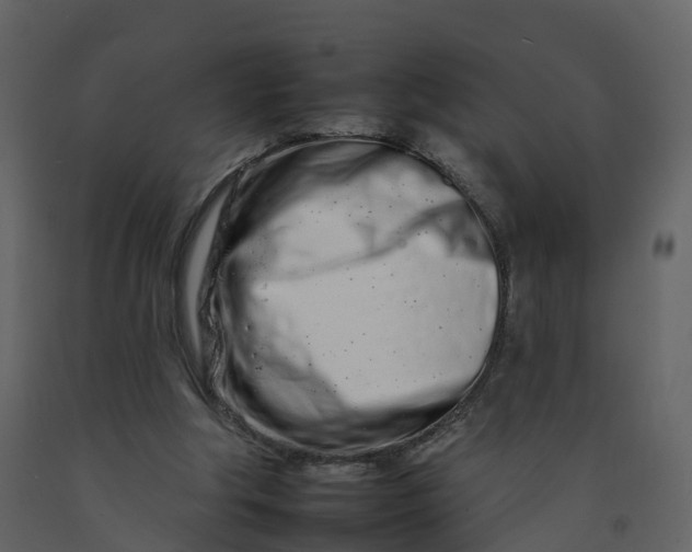 X0000092260202200710051326