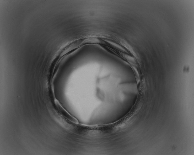 X0000092260203200710051326