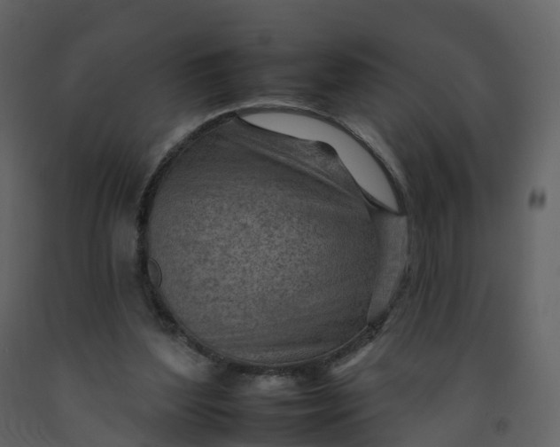 X0000092260204200710051326