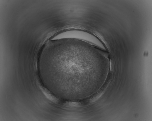 X0000092260205200710051326