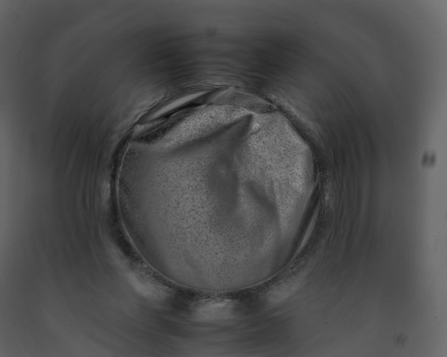 X0000092260206200710051326