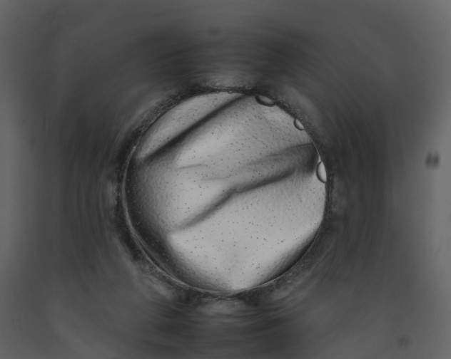 X0000092260210200710051326