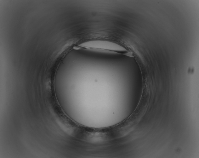 X0000092260212200710051325