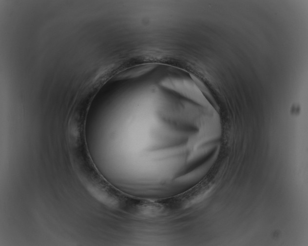 X0000092260215200710051325