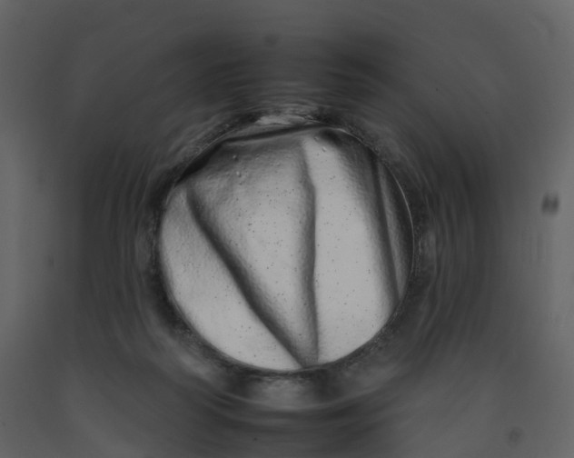 X0000092260218200710051325