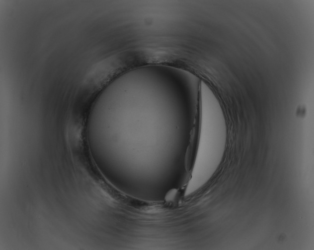 X0000092260219200710051325