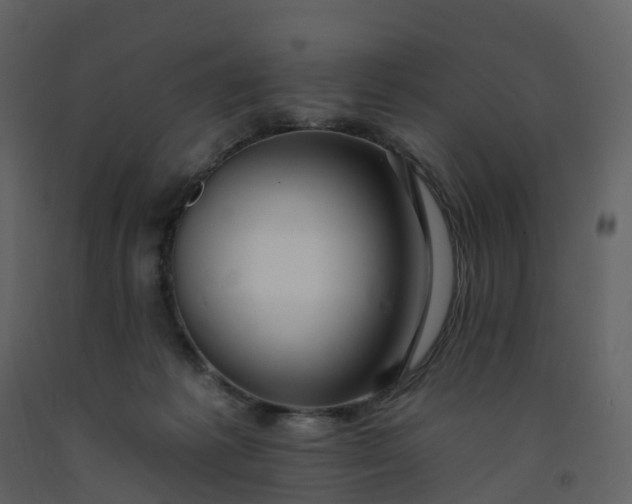 X0000092260221200710051325