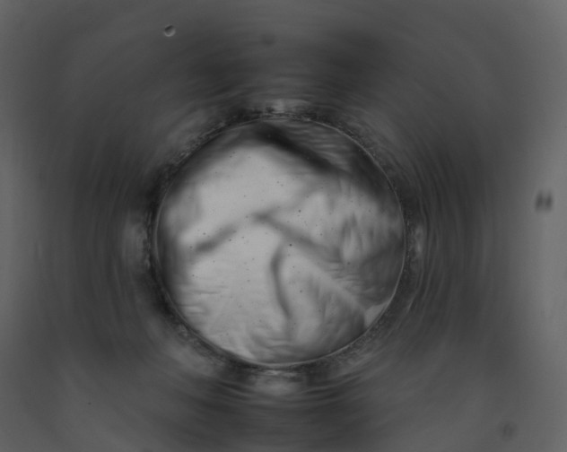 X0000092260222200710051325