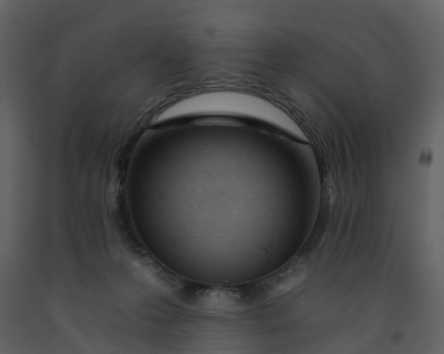 X0000092260223200710051325