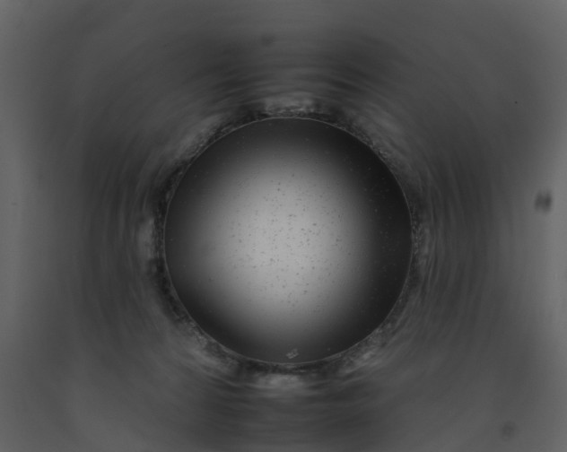 X0000092260224200710051325