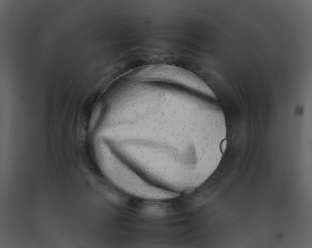 X0000092260226200710051325