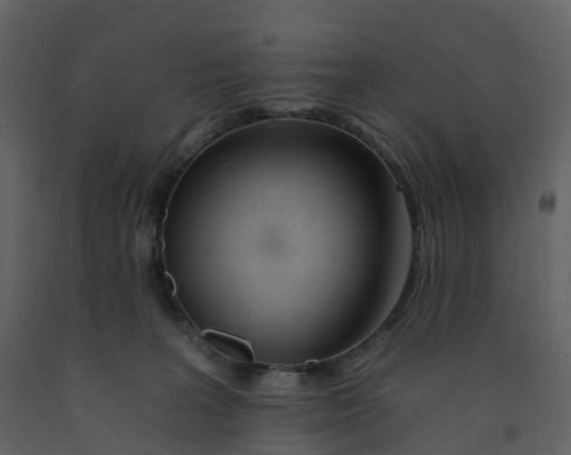 X0000092260227200710051325