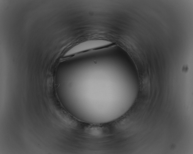 X0000092260228200710051325