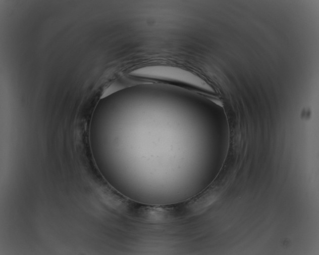 X0000092260229200710051325