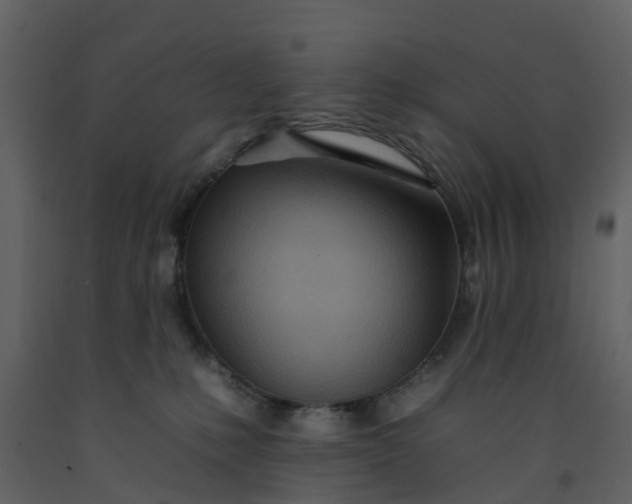 X0000092260231200710051325