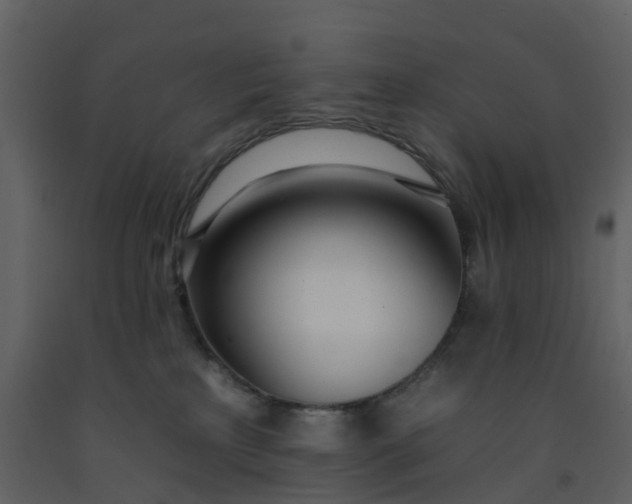 X0000092260233200710051325