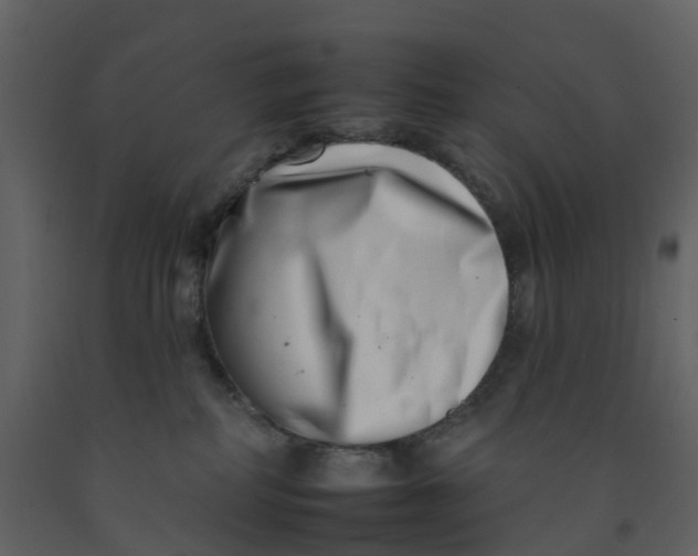 X0000092260234200710051325