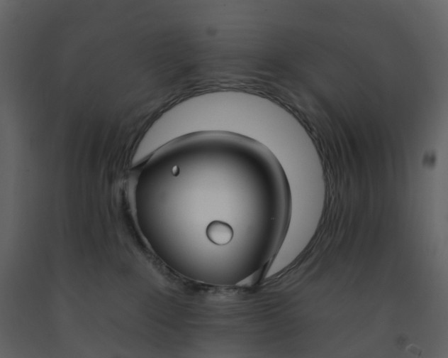 X0000092260235200710051325