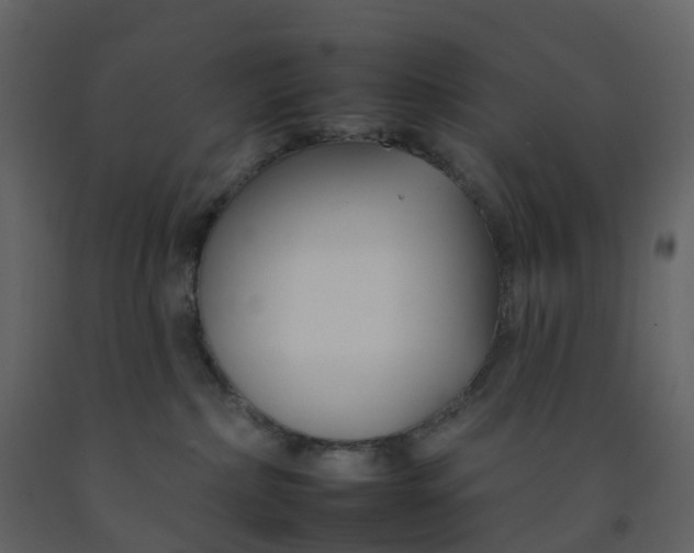 X0000092260236200710051325