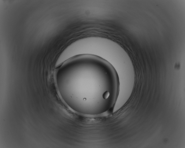 X0000092260239200710051325