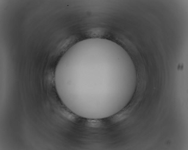 X0000092260240200710051325