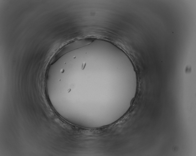 X0000092260241200710051325