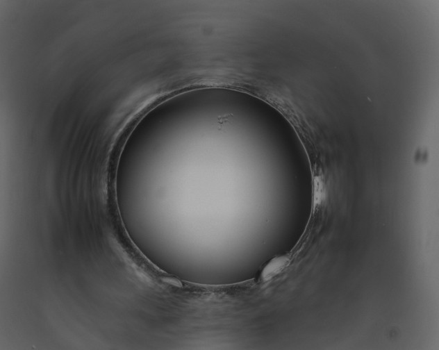 X0000092260243200710051325