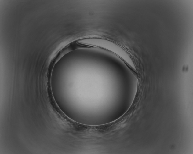 X0000092260244200710051325