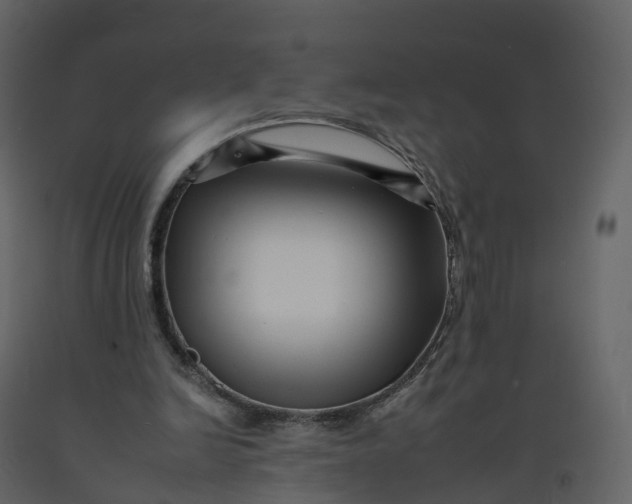 X0000092260246200710051325